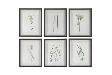 130713441:Forest Finds Wall Art