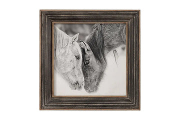 497946040:Horses B&W Wall Art