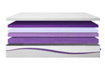 753141500:Purple