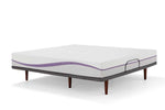621061697:Purple