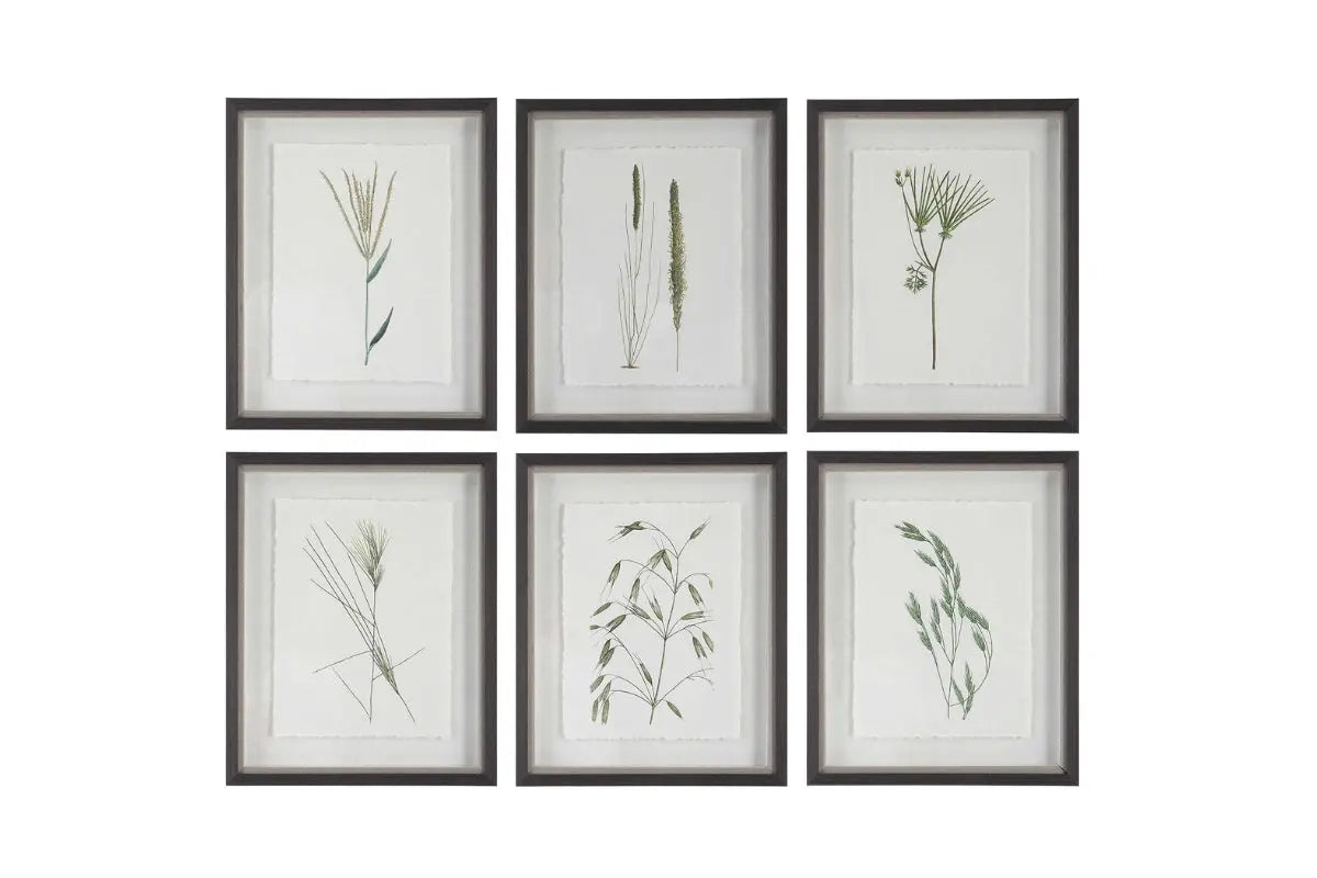 130713441:Forest Finds Wall Art