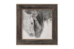 497946040:Horses B&W Wall Art