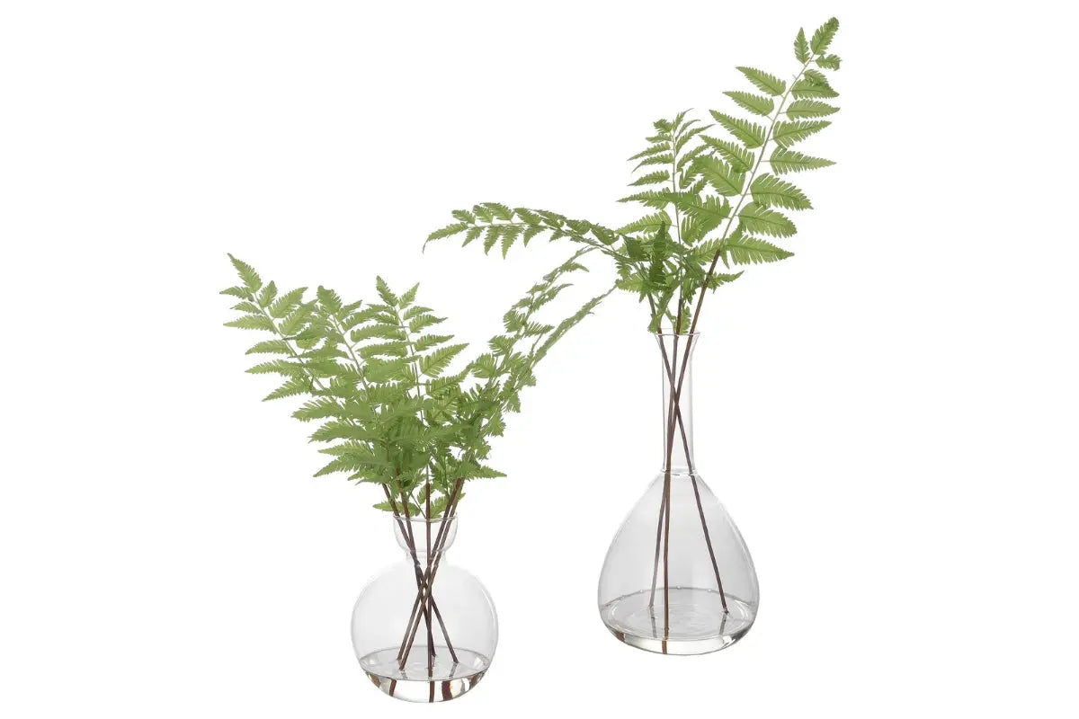 281827297:Country Ferns S/2