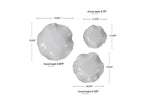 076456044:Abella Wall Art,