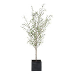 786971823:Abundance Plant, AngledAngle
