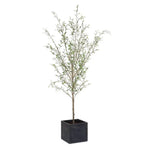 786971823:Abundance Plant, Front