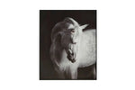 412716535:Archerwick Wall Art,