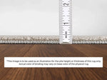 773165516:Aristo Rug,