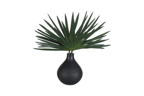 281873572:Axis Plant, AngledAngle