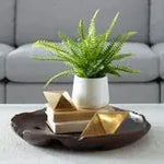 767018136:Boston Fern Plant, Styled