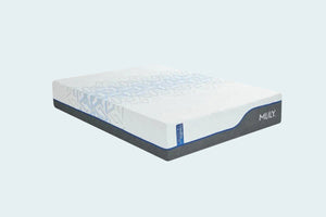 ChiroPro