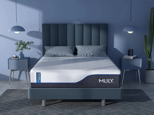 225430527:Chiropro Firm Mattress Styled
