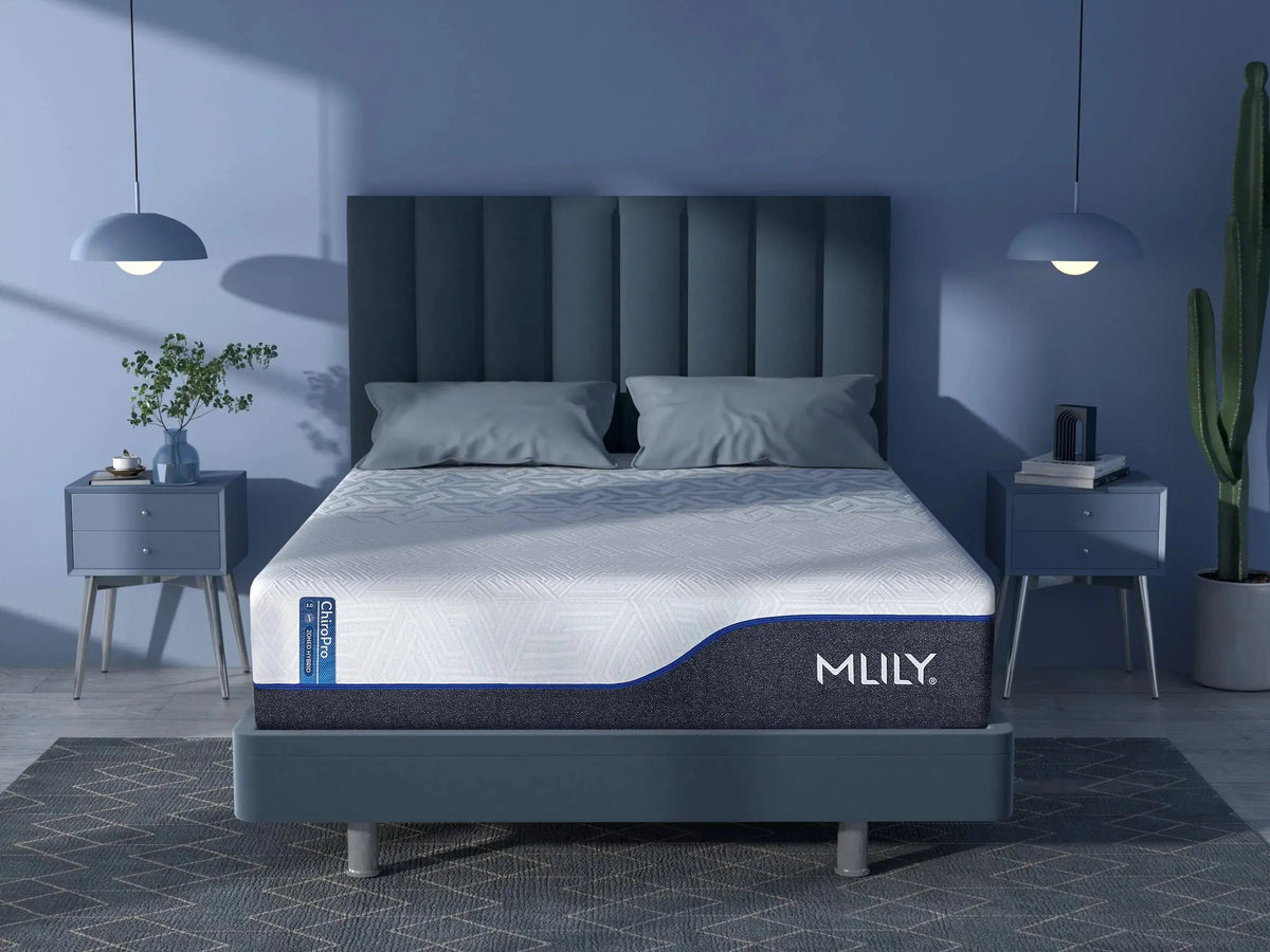 Chiropro 3.0 Plush Mattress  