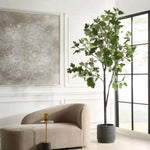 012919355:Eden Plant, Styled