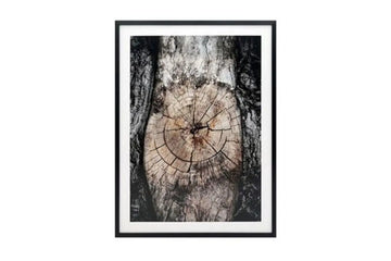 258725584:Freyburn Wall Art