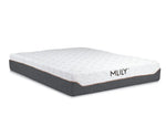 032649592:MLILY