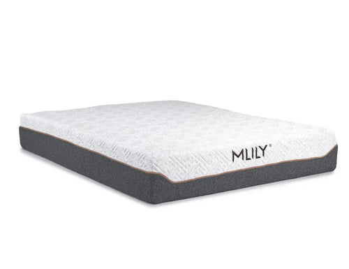 032649592:MLILY