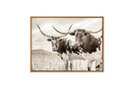 490169469:Griffner Wall Art