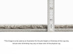 095699866:Kochi Rug,