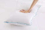 019635405:Down Pillow Pillow,