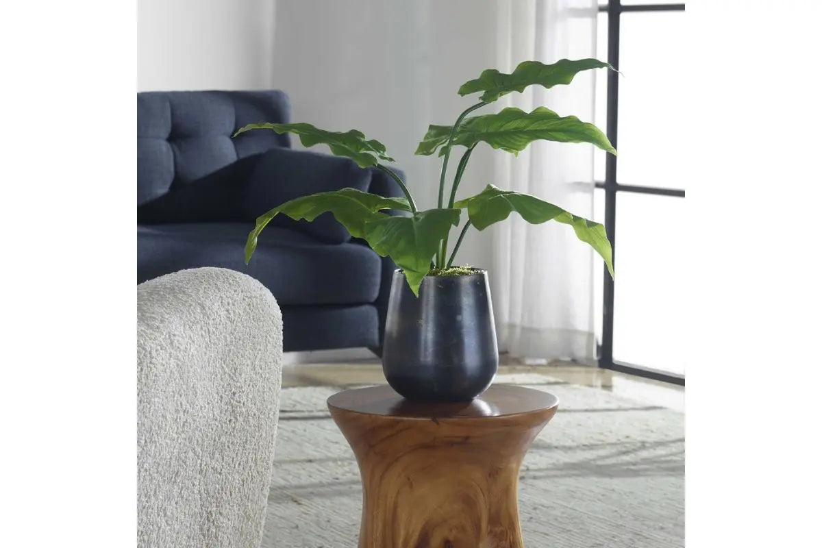 501718649:Mari Calla Plant, Styled