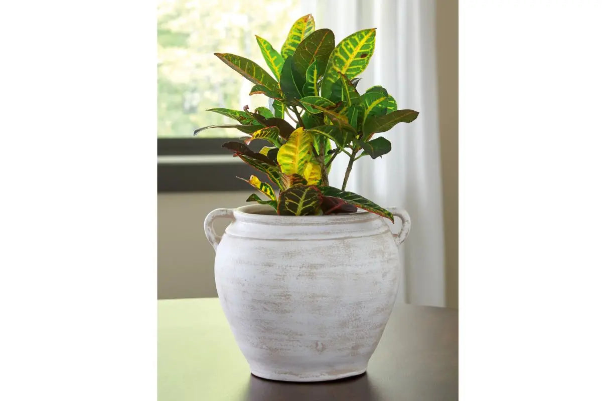 224414399:Meadie Vase Or Filler, Styled