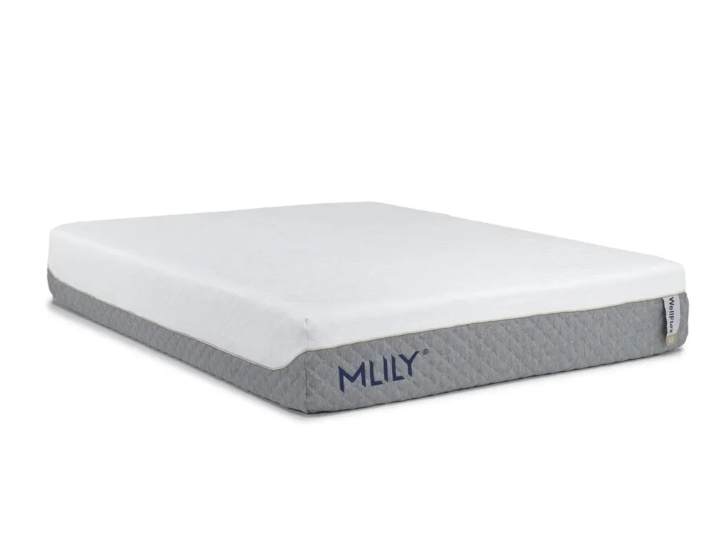 829930025:Mlily
