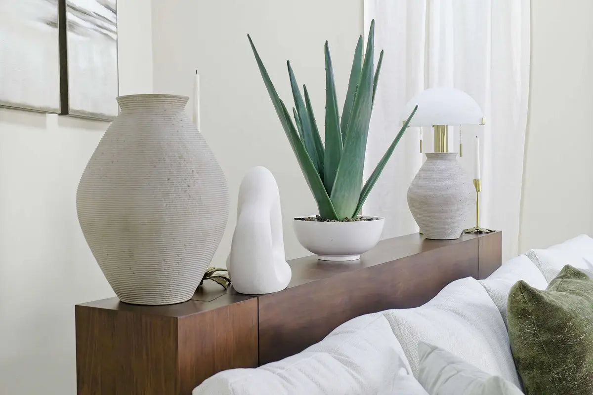 428520832:Evardo Aloe Plant