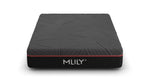 548682278:Mlily