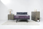 058176517:Purple Premier Plus Smart Adju, Styled