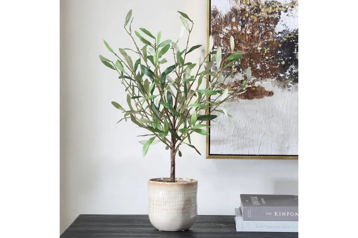 052571066:Solea Plant, Styled