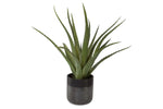 269732804:Tucson Plant,