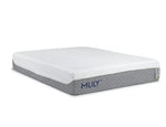 586729801:MLILY