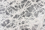 931520280:Paris Rug in Gray, 8 x 10, Image 1