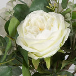 543847760:Rosewood Garden Plant,